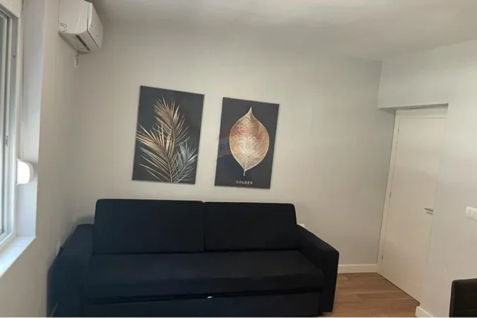 Tirane, jepet me qera apartament 1+1 Kati 0, 60 m² 650 € (Tirana e Re - Stadiumi Dinamo, Shqipëri)