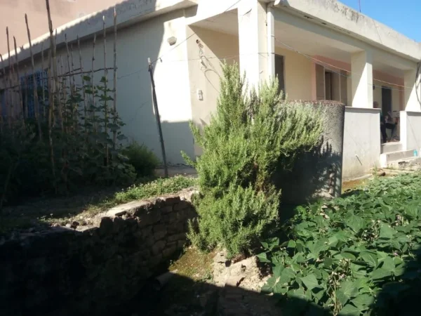 Tirane, shitet shtepi 3+1+Aneks+Ballkon Kati 0, 150.000 € (Zyber Zeneli)