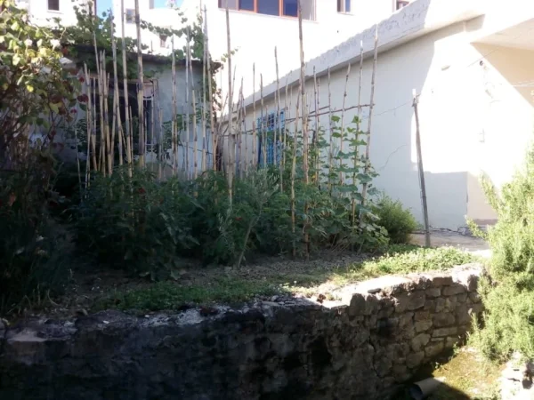 Tirane, shitet shtepi 3+1+Aneks+Ballkon Kati 0, 150.000 € (Zyber Zeneli)