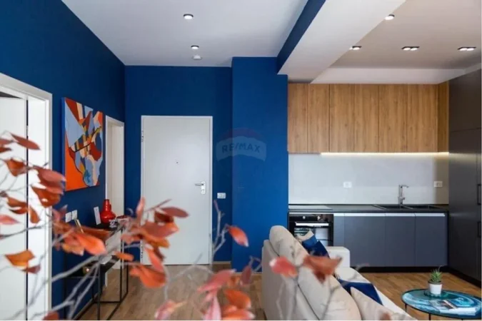 Tirane, jepet me qera apartament 1+1 , 55 m² 550 € (Ali Demi,)