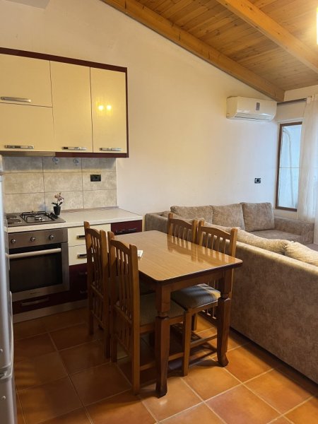 Tirane, jepet me qera 1+1 , 500 € 
