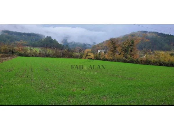 Tirane, shitet toke , 3.500 m² 280.000 € (Petrele)