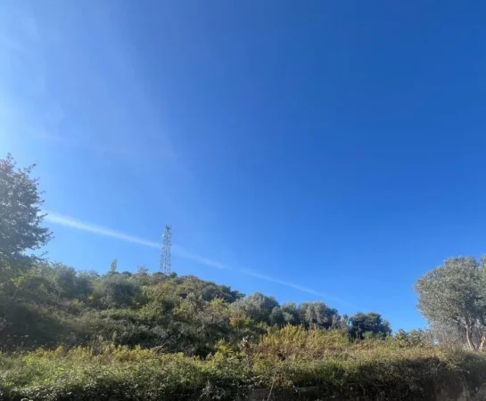 Tirane, shitet toke , 1.600 m² 224.000 € (Misto Mame)