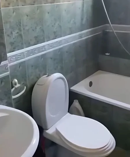 Tirane, jepet me qera apartament 1+1 Kati 5, 32 m² 370 € (Myslym Shyri)