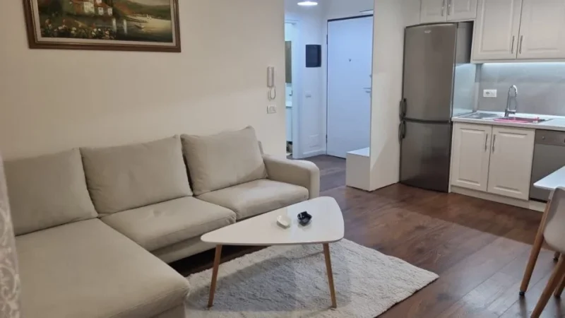 Tirane, jepet me qera 1+1+Ballkon Kati 3, 650 € (Kristal Center)