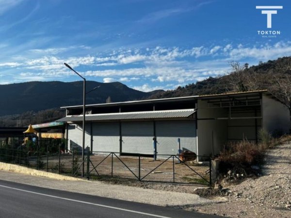 Tirane, jepet me qera ambjent biznesi , 300 m² 800 € (Rruga e Arbrit) TT1695