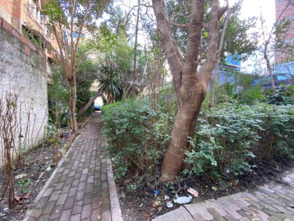 Tirane, jepet me qera ambjent biznesi Kati -1, 180 m² 900 € (BULEVARDI ZOGU I)