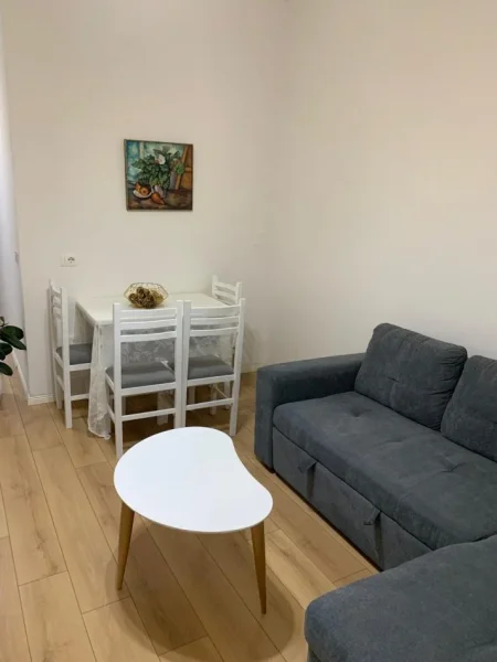 Tirane, jepet me qera apartament 1+1+Ballkon Kati 1, 450 € (Eshref Frasheri (Don Bosko))