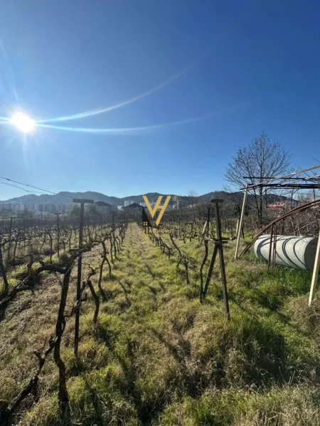 Tirane, shitet toke , 2.000 m² 220.000 € (VORE)