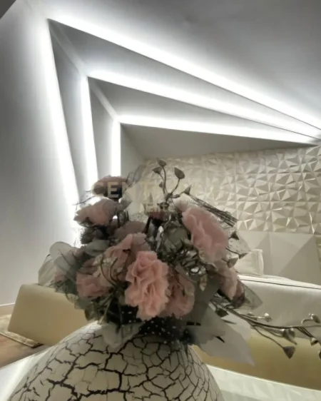 Tirane, shitet hotel Kati 8, 2.400 m² 7.200.000 € (Sheshi Skënderbej)