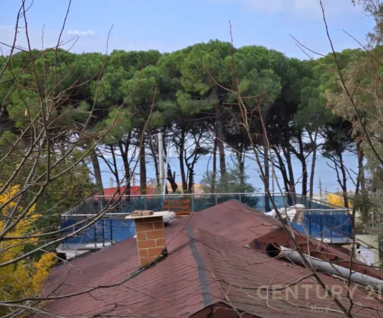 Tirane, shitet apartament 2+1 Kati 1, 115 m² 200.000 € (Golem)