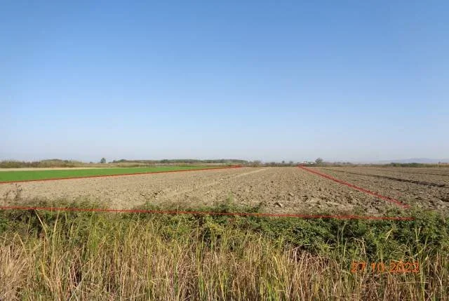 Shitet Are, 6593 m2, Cmimi Referues 1,700,000 Leke (Gorre, Lushnje)