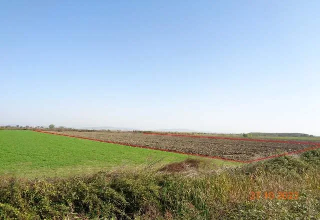 Shitet Are, 6593 m2, Cmimi Referues 1,700,000 Leke (Gorre, Lushnje)