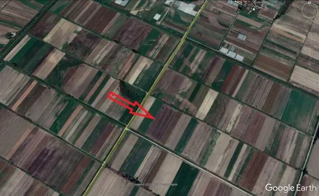 Shitet Are, 6593 m2, Cmimi Referues 1,700,000 Leke (Gorre, Lushnje)