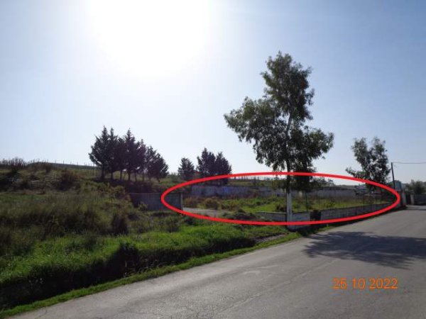 Shiten dy Toka Arë, me siperfaqe 1,080 m2 & 670 m2, 1,260,000 Lekë; 1,864,800 Lekë (Arapaj, Durrës)
