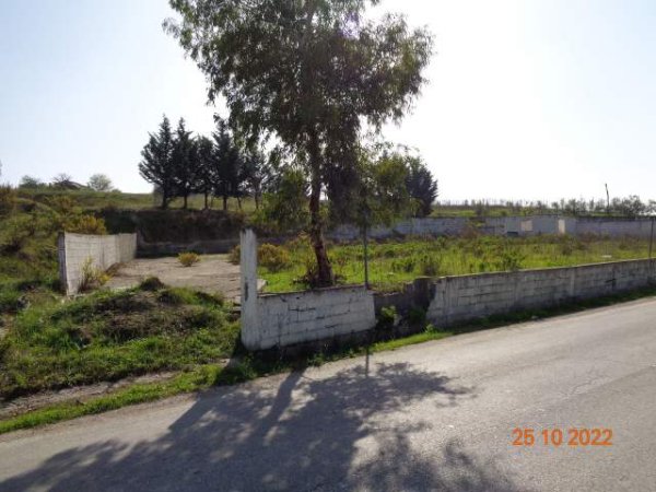 Shiten dy Toka Arë, me siperfaqe 1,080 m2 & 670 m2, 1,260,000 Lekë; 1,864,800 Lekë (Arapaj, Durrës)