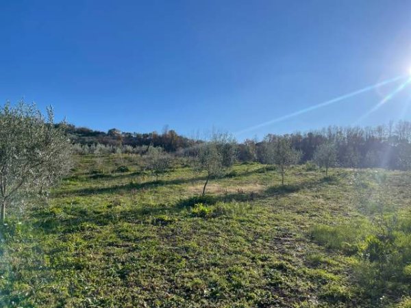 Tirane, shitet 2.100 m² 100.000 Euro (Rruga Teg-Daias)