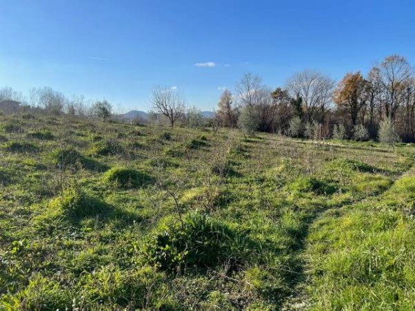 Tirane, shitet 2.100 m² 100.000 Euro (Rruga Teg-Daias)