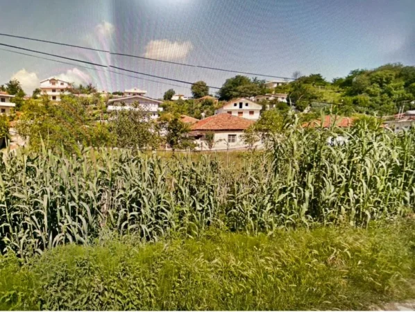 Tirane, shitet 2+1 , 