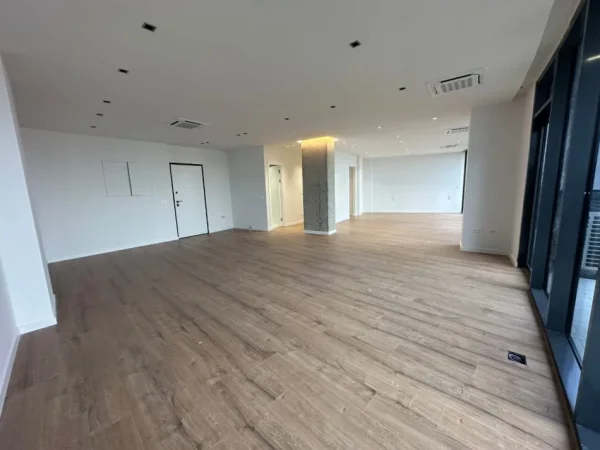 Tirane, jepet me qera zyre Kati 6, 126 m² 1.500 € (Lake View Residence)