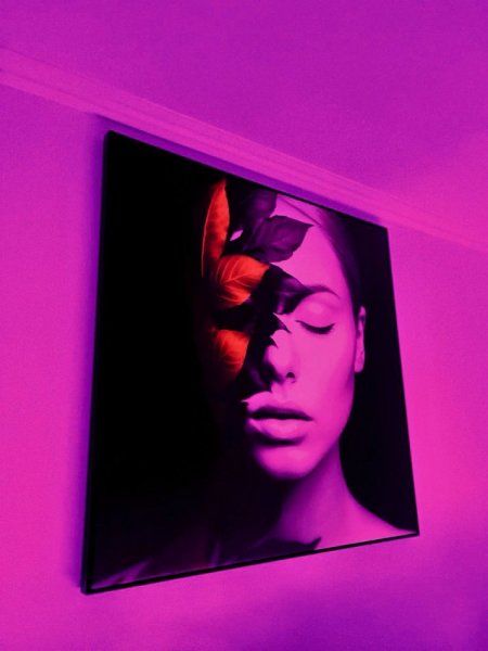 Tirane, jepet me qera vetem 1 dhome 1+1 Kati 0, 30 m² 25 € (Rruga Manastirliu)