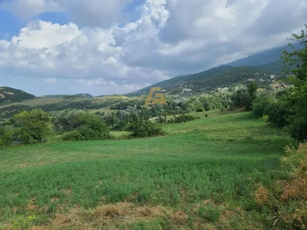 Tirane, shitet toke , 27.850 m² 1.392.500 € (Farke, Priske)