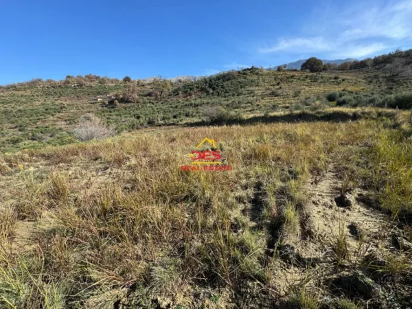 Vlore, shitet toke ne bregdet , 2.250 m² 225.000 € (Radhimë)