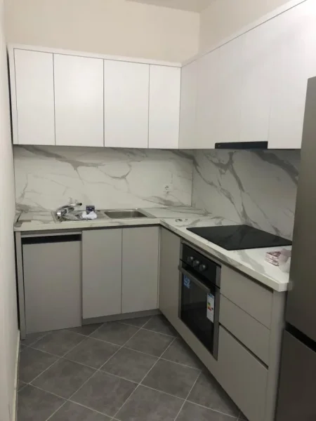 Tirane, jepet me qera apartament 2+1+2+Ballkon Kati 1, 92 m² 700 € (Rruga Albanopoli)