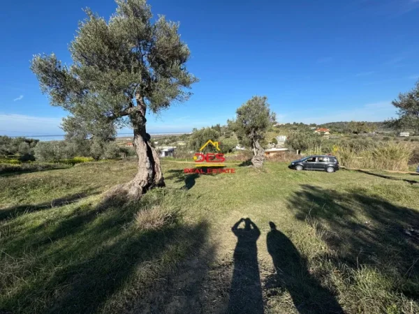 Vlore, shitet toke , 1.300 m² 52.000 € (Panaja, Vlorë)