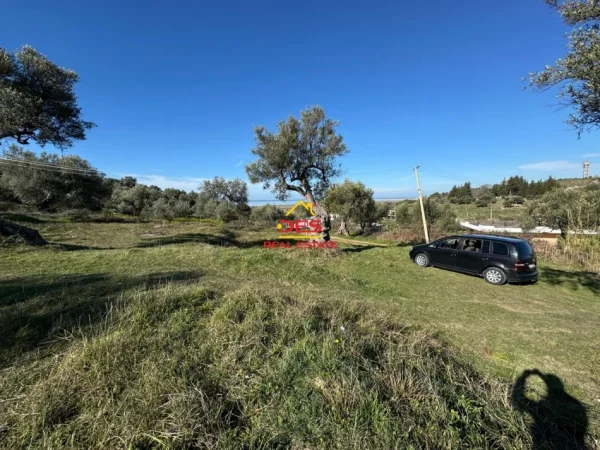 Vlore, shitet toke , 1.300 m² 52.000 € (Panaja, Vlorë)