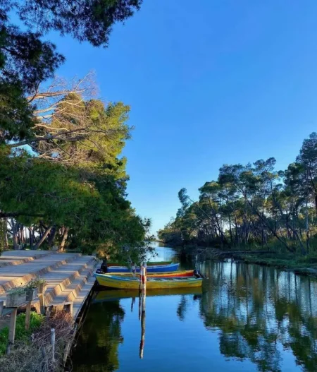 Lushnje Divjake, shitet hotel Kati 4, 1.200 m² 850.000 € (Divjake)