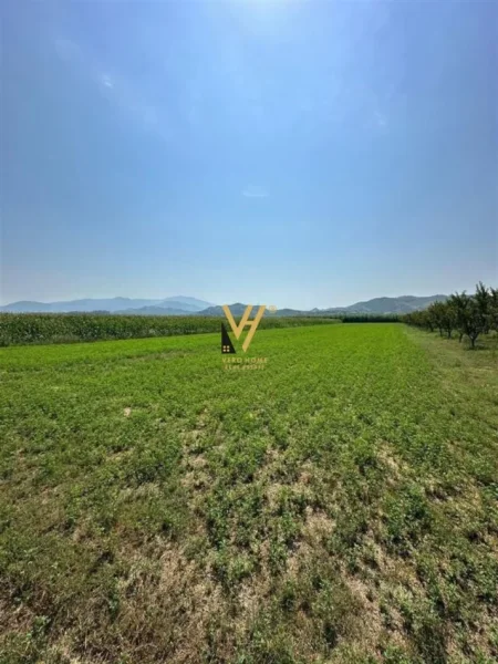 Tirane, shitet truall , 13.000 m² 1.170.000 € (VORE)