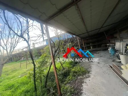 Tirane, jepet me qera toke , 2.000 m² (MAMINAS-VORE)