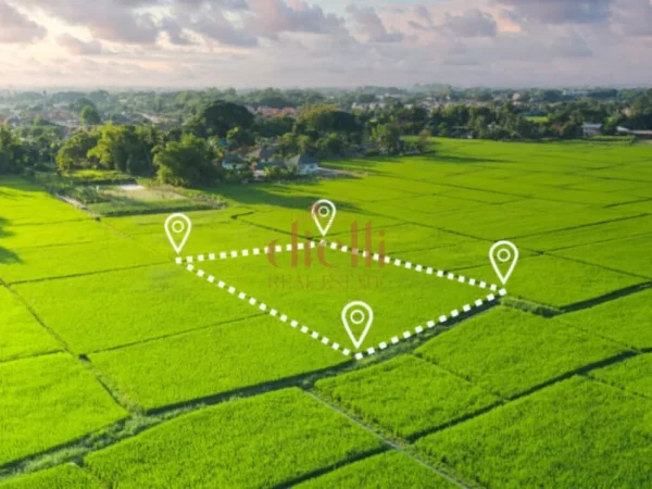 Tirane, shitet toke , 1.000 m² (ne Peze Helmes)/ Pozicion Prane rruges kryesore.cmim OKAZION