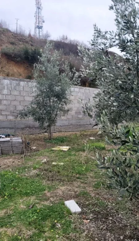 Tirane, shitet , 10.000 m² 