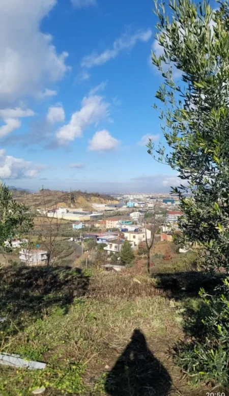 Tirane, shitet , 10.000 m² 