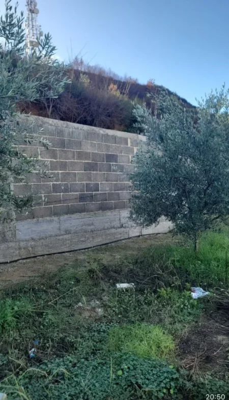 Tirane, shitet , 10.000 m² 