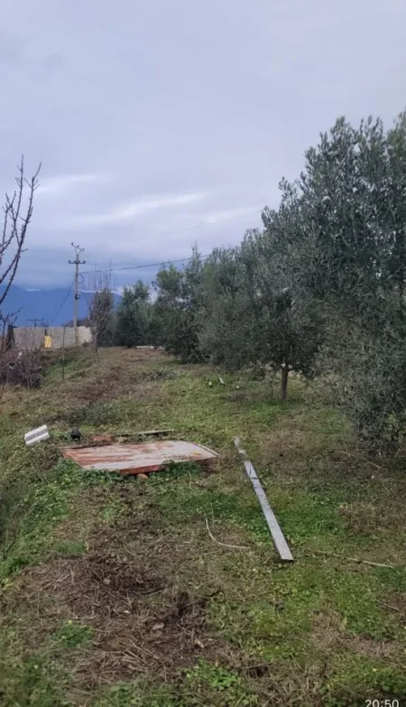 Tirane, shitet , 10.000 m² 