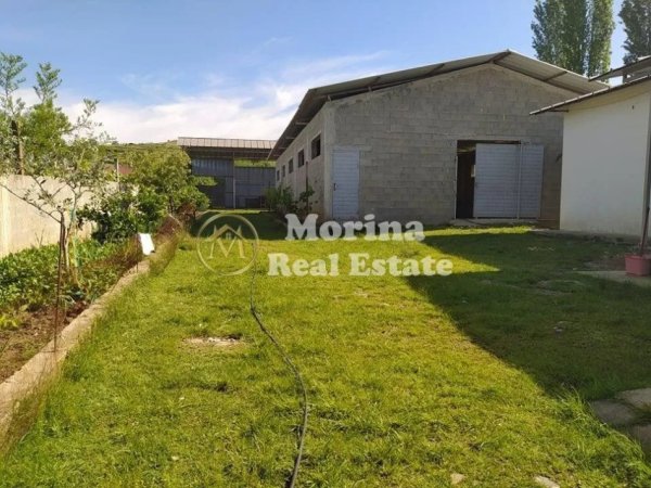 Tirane, jepet me qera ambjent biznesi Kati 0, 350 m² 400 € (Zall-Herr)