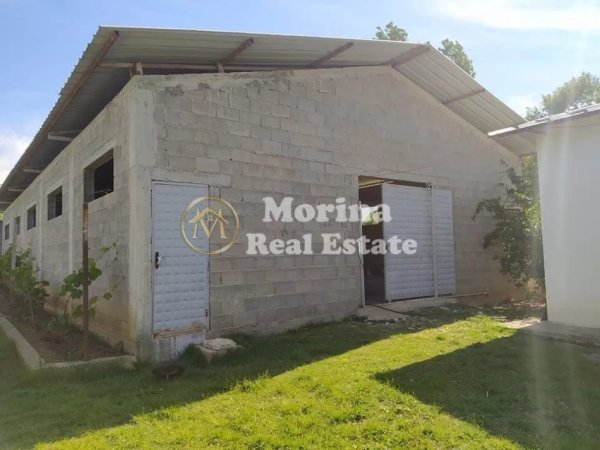 Tirane, jepet me qera ambjent biznesi Kati 0, 350 m² 400 € (Zall-Herr)