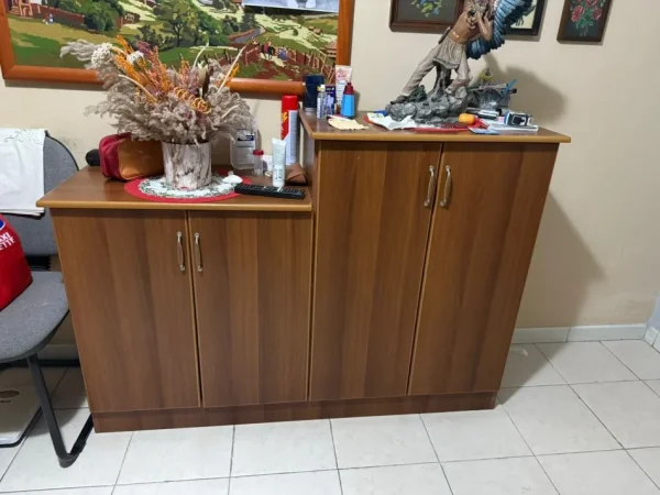 Elbasan, shes dollap i vogel 100 €