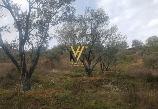 Tirane, shitet toke , 6.500 m² 160.000 € (VORE)