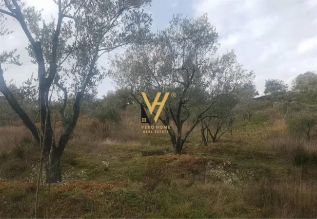 Tirane, shitet toke , 6.500 m² 160.000 € (VORE)