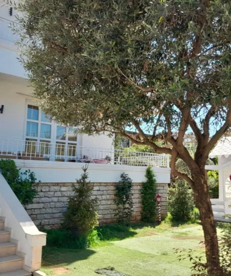 Tirane, shitet Vile 2 Katshe Kati 2, 947 m² 500.000 € (ALLIAS)