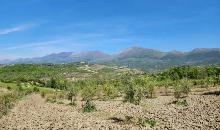 SHITET SUPER TOKE: 3221m2  📍  Në Qeha 5 Min Nga Mulleti ( 95€/m² Ultra Okazion)  (( 297,000€ ))💣