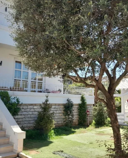 Tirane, shitet Vile 3 Katshe Kati 2, 950 m² 520.000 € (ALLIAS)