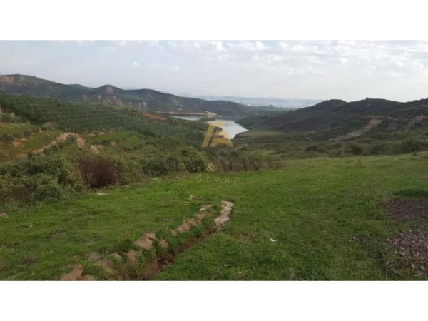 Tirane, shitet toke , 22.200 m² 555.000 € (Cerkeze)