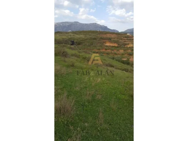 Tirane, shitet toke , 22.200 m² 555.000 € (Cerkeze)