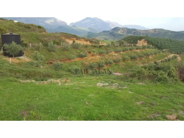 Tirane, shitet toke , 22.200 m² 555.000 € (Cerkeze)