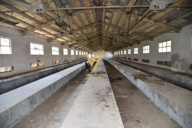 Elbasan, shitet toke , 51.242 m² 2.050.000 € (ELBASAN)